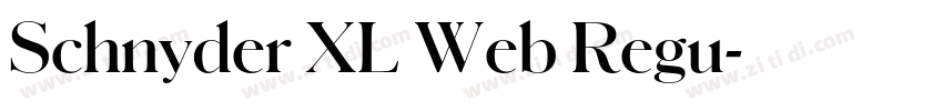 Schnyder XL Web Regu字体转换